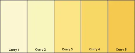 Premio Curry