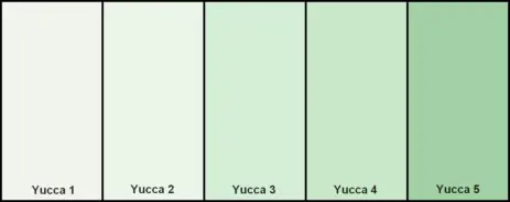 Premio Yucca